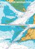 View Charts
