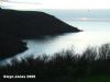 View Images