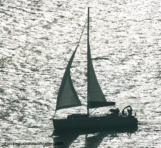 The ideal electronic navigation system on a sailboat ? by