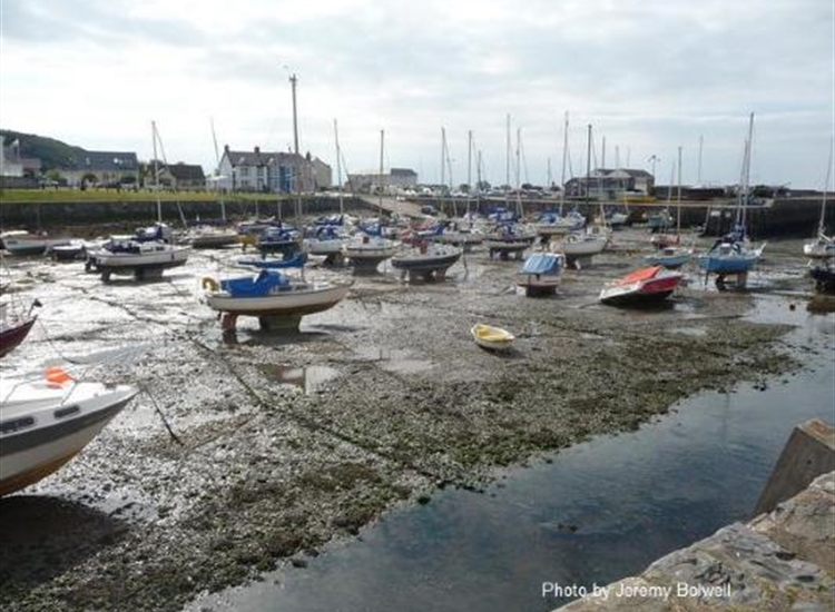 4. Aberaeron Harbour looking West