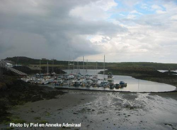 Ardglass Marina at low water