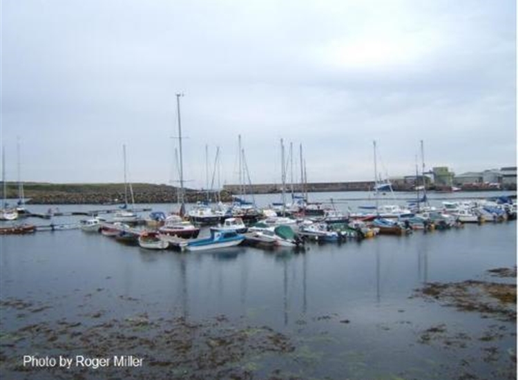 Ardglass Marina from Western corner