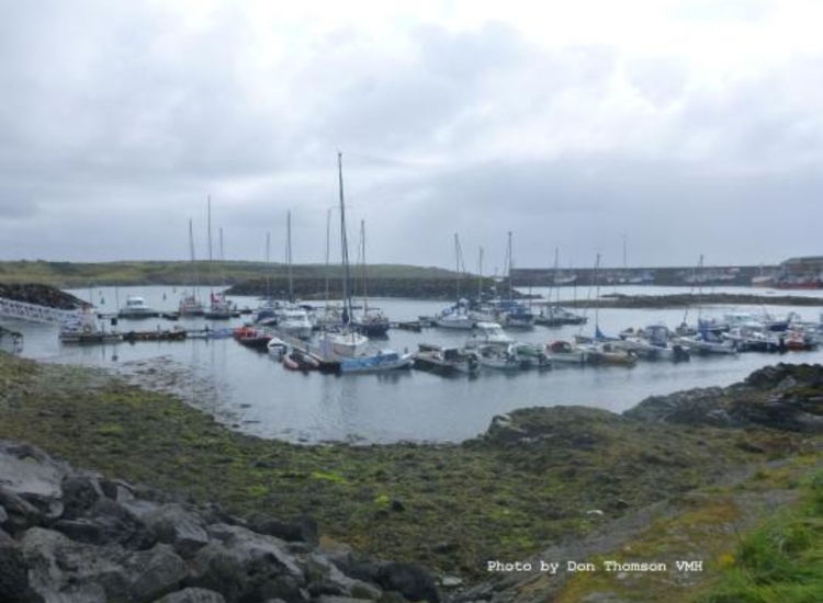 Marina from the West Shore
