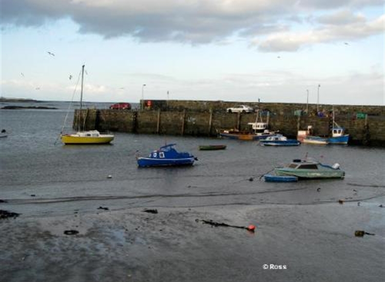 Ballywalter Harbour