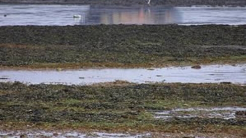 bembridge