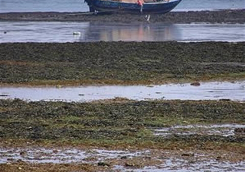 Bembridge Harbour