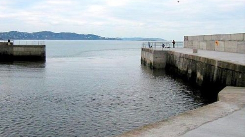 bray