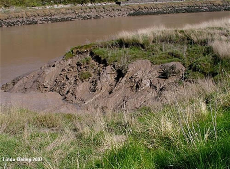 5.Beware the Gloop in R.Avon