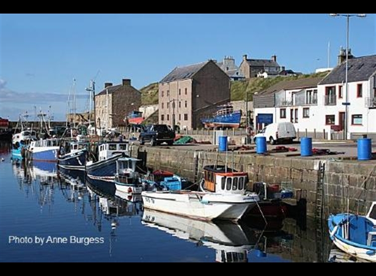 Burghead looking NW across the harbour