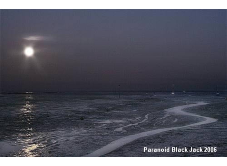 Moonlight and Mud