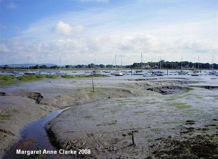 Mudbanks and Yachts