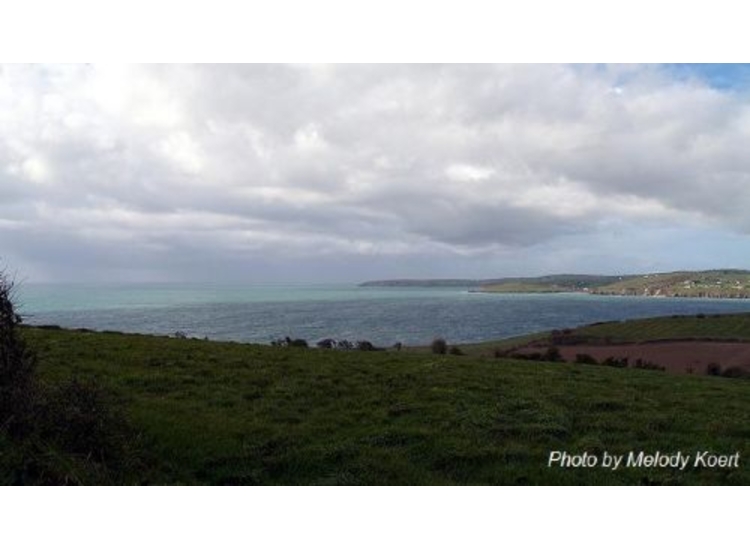 Clonakilty Bay West Coast Duneen Head & beyond that Dunnycove Point