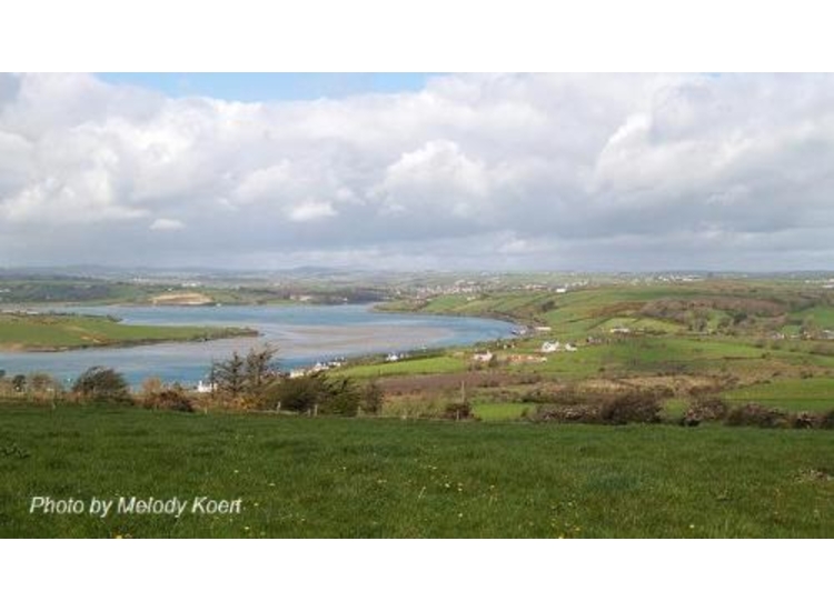 Clonakilty Harbour looking over South Ring towards Clonakilty in the distance
