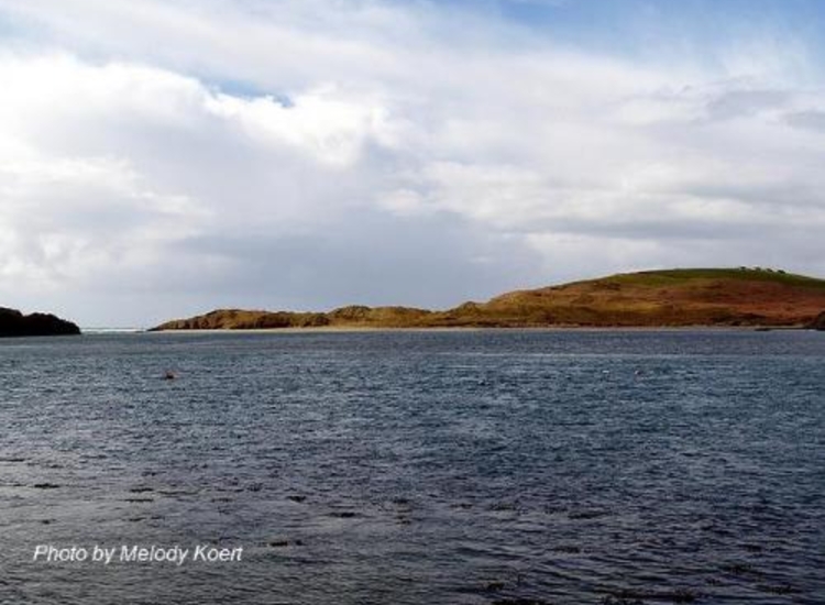Inchydoney Island from Arundel Mills looking SSW