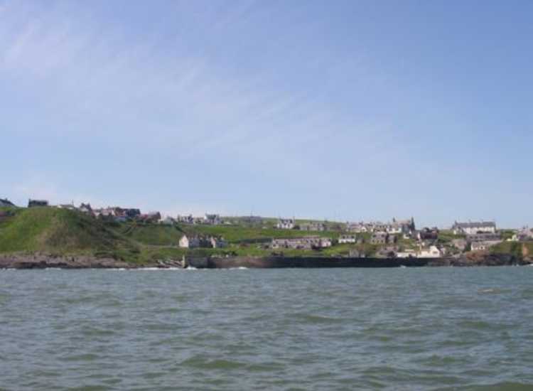 Collieston from the NE