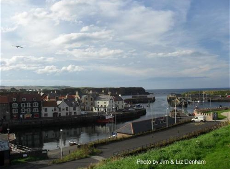 Looking North across Eyemouth harbour