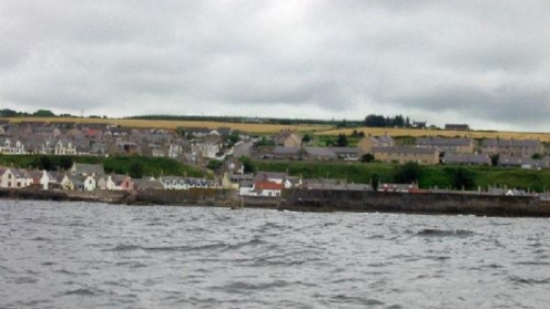 findochty