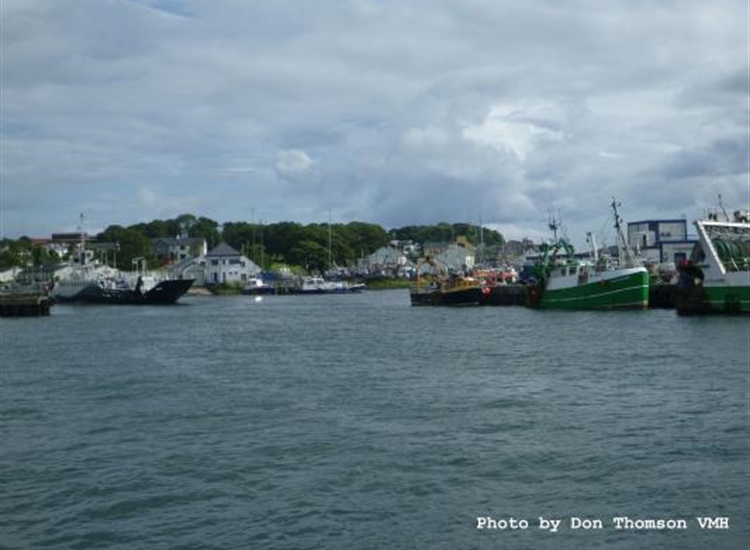 Looking up Greencastle Harbour
