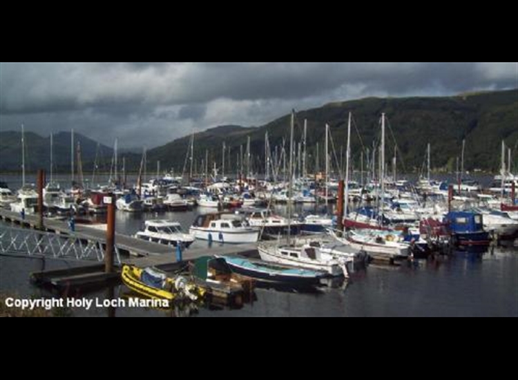 Within The Marina