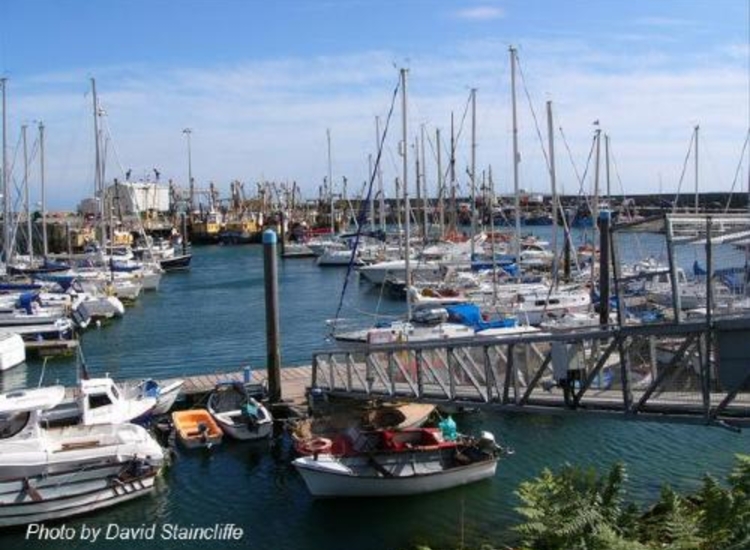 Kilmore Marina