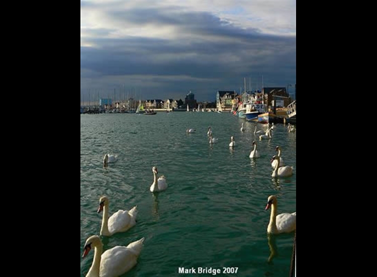 Fishing Boats 2
