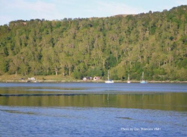 9. Boat houses and moorings at the NE end of the Loch.jpg