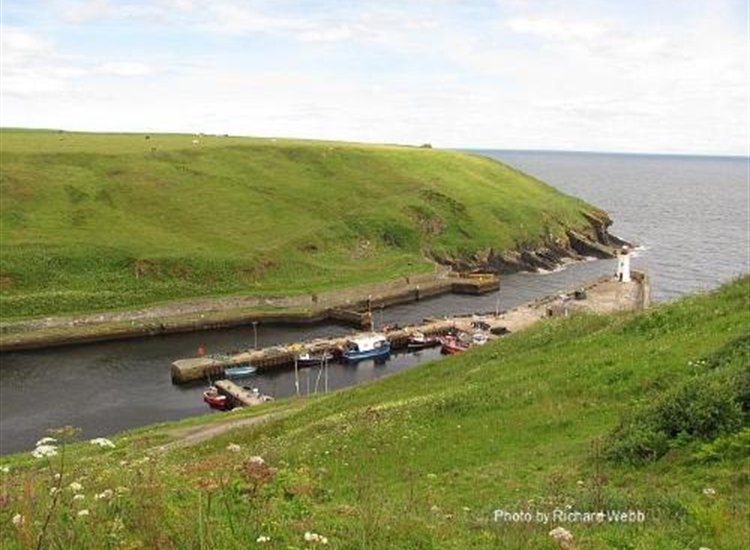 Lybster from the cliffs to the South of the harbour