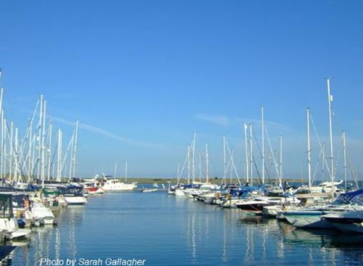 Malahide Marina (no rain!!)