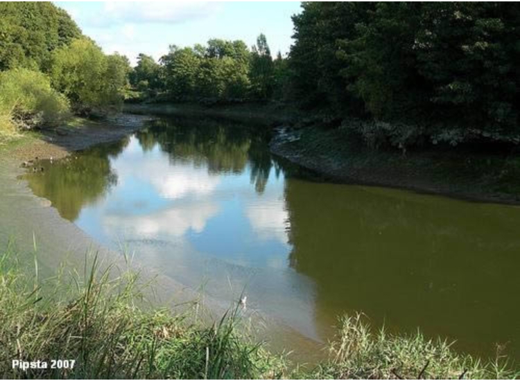 Approaching  Aylesford, the River is narrow and shallow..