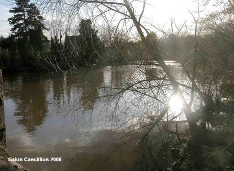 Medway near Aylesford