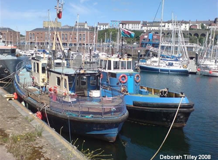 2.Milford Marina
