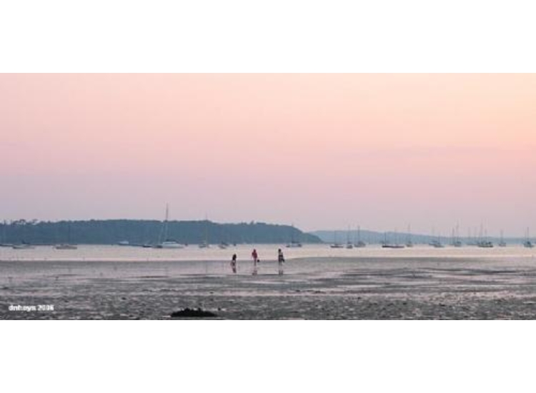 Looking across to Brownsea Island, Boats in South Deep