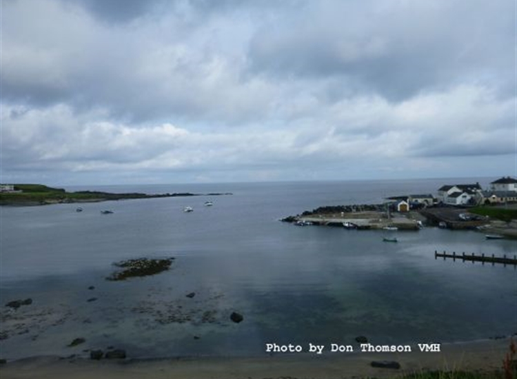 Portballintrae harbour overview