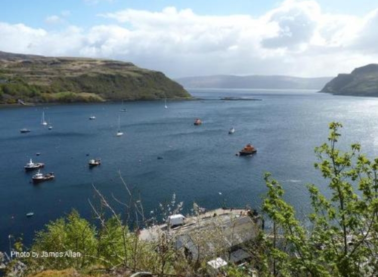 7. Portree Harbour looking ESE. The pontoon can just be seen through the trees bottom right.