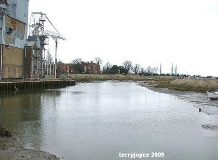 Stambridge Mills, Rochford, Roach
