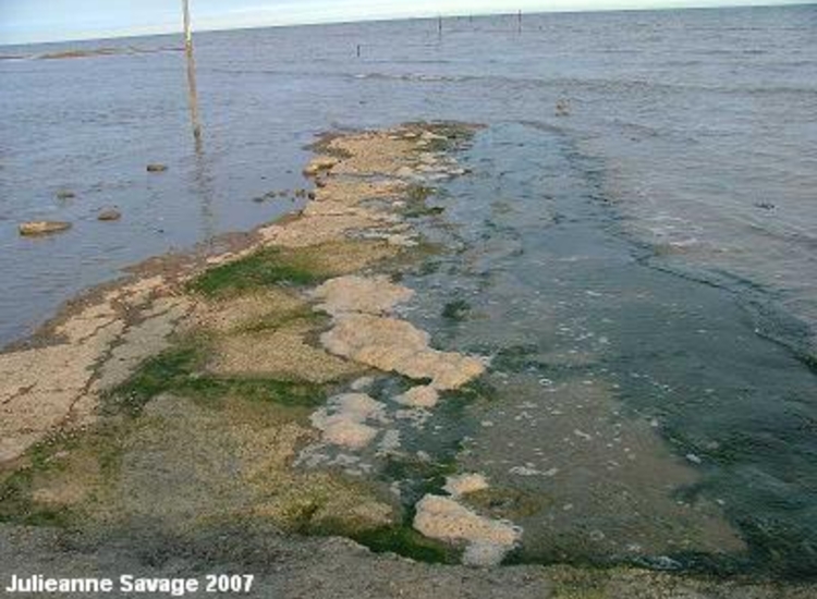 The Broomway