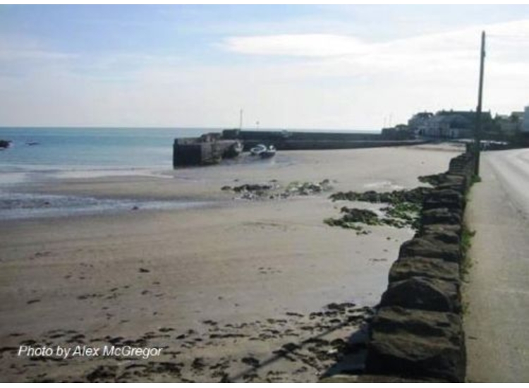Rush Harbour from the beach road