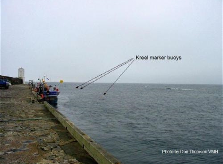 Rosehearty looking Northwards along the pier.  Small yellow buoys are not channel markers; they mark keep kreels.