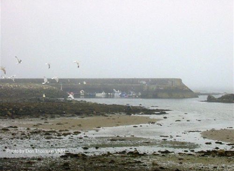 Sandhaven Looking WNW across the disused harbour towards the servicable harbour