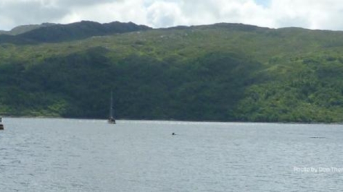 salen-jetty