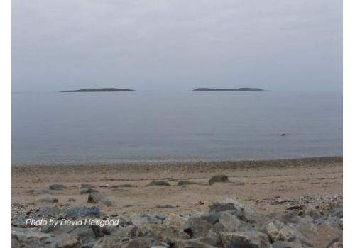 Saltee Islands