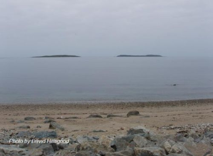 A photo of the Saltee Islands from Kilmore Quay