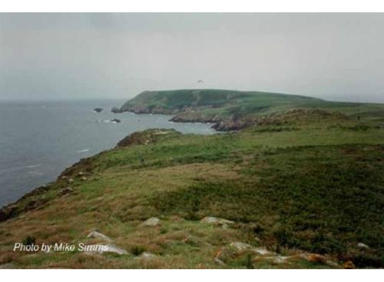 Great Saltee SE coast showing Georgina's Bay & Seven Heads in Distance