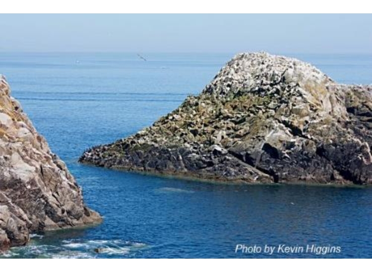 Makestone Rock. Gilbert Bay anchorage out of shot bottom right