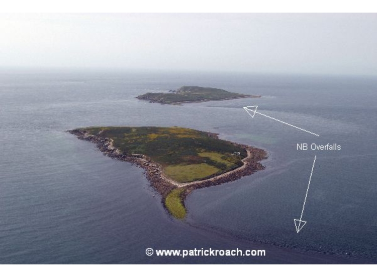Saltee Islands looking South over Little Saltee to Great Saltee