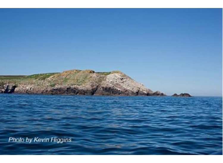 South end of Great Saltee