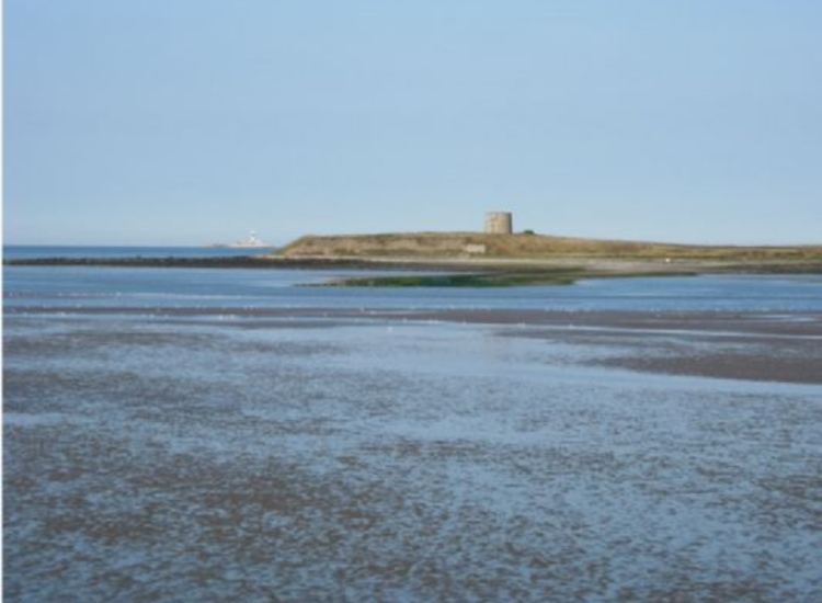 Shenick's Island with ruined Martello Tower seen looking East from beach