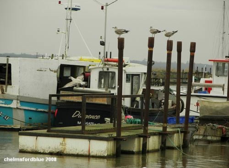 Fishing Boat Moorings