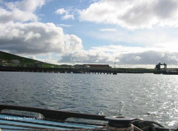 Houton (1)