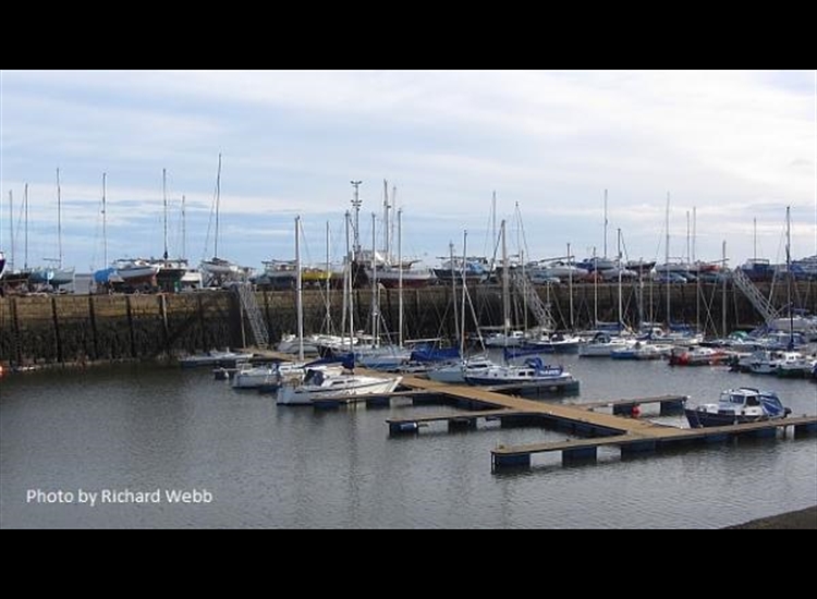 Tayport pontoons at LW. Note the steepness of the access ramps